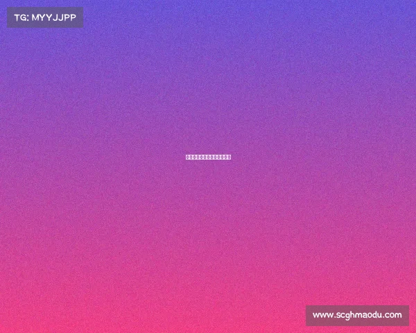 呼和浩特赛事、呼和浩特球队